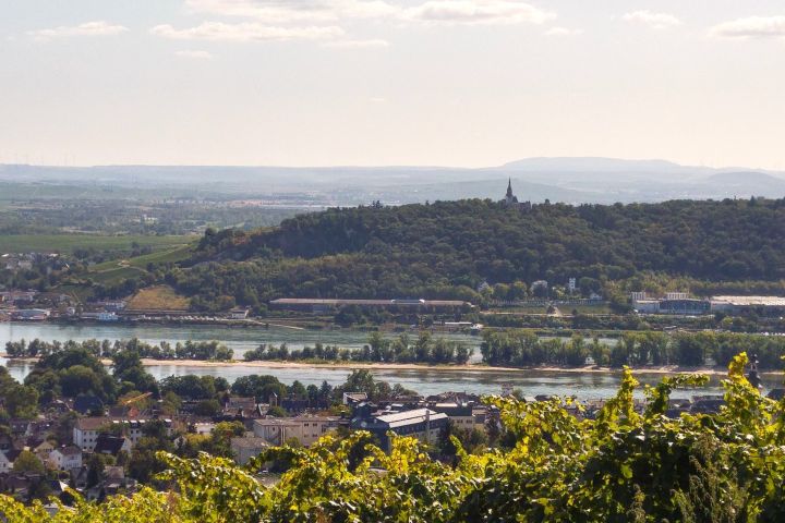 Rheingauer E-Bike Tour West, Ruinen, Nonnen und Flüsse