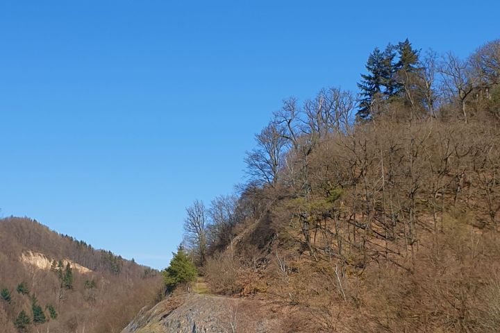 Warme Sonnenluft, sanfter Waldwind und eine Brotzeit im Wald: mit mehreren variantenreichen E-Bike Touren entdecken wir auf den Schlangenbader Waldradpfaden die luftige, waldreiche Gegend der Kurgemeinde.
