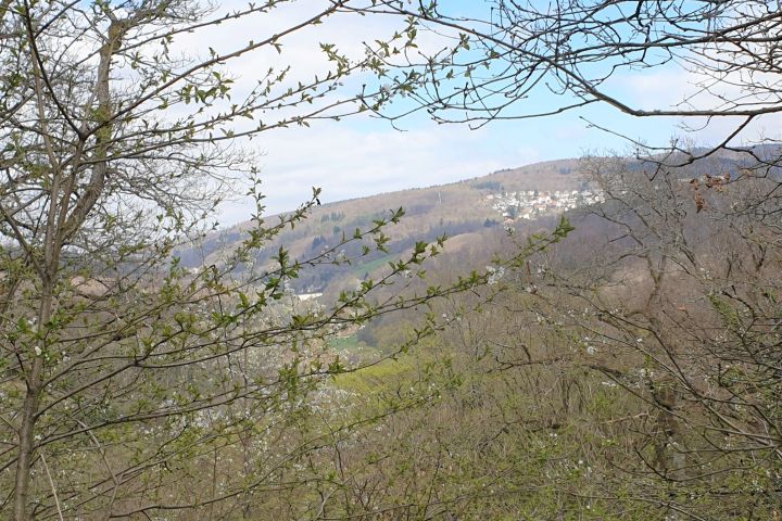 Warme Sonnenluft, sanfter Waldwind und eine Brotzeit im Wald: mit mehreren variantenreichen E-Bike Touren entdecken wir auf den Schlangenbader Waldradpfaden die luftige, waldreiche Gegend der Kurgemeinde.