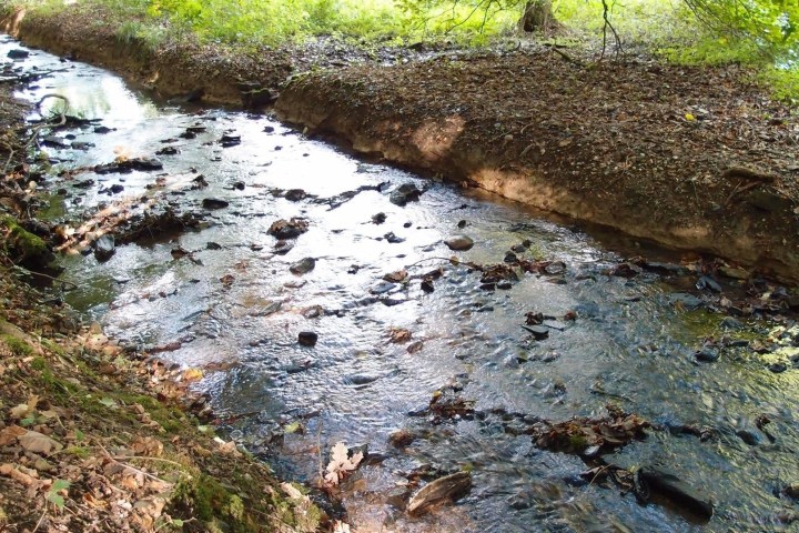 Wanderung zu drei Wiesbadener Bächen durch anmutige Täler in der reizvollen Umgebung Wiesbadens. Erfahren Sie Kurzweiliges, Sagenhaftes und Wissenswertes über die Gewässer der Kurstadt und des Rheingaus.