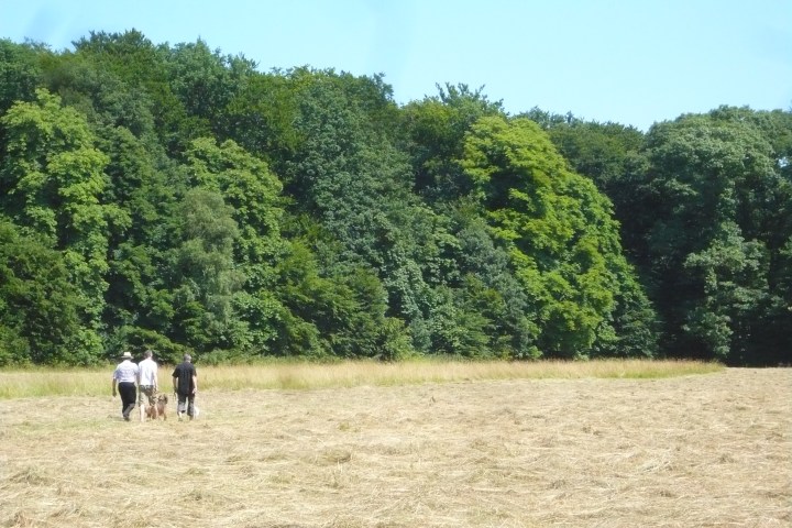 Eine romantische Wanderung voller Musikkultur. Auf den Spuren eines Musikgenies und Naturfreundes. Wald- und Wiesenidylle als Geburtsort der weltberühmten ,,Wiesbadener Sinfonie”.