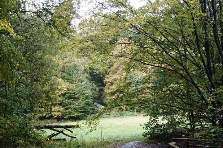 Eine romantische Wanderung voller Musikkultur. Auf den Spuren eines Musikgenies und Naturfreundes. Wald- und Wiesenidylle als Geburtsort der weltberühmten ,,Wiesbadener Sinfonie”.