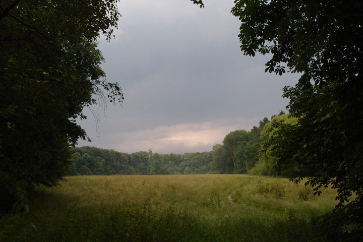 Eine romantische Wanderung voller Musikkultur. Auf den Spuren eines Musikgenies und Naturfreundes. Wald- und Wiesenidylle als Geburtsort der weltberühmten ,,Wiesbadener Sinfonie”.