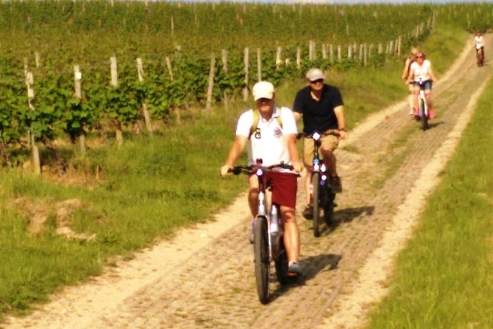 Spritztour mit weiten Ausblicken vom schönen Fachwerkort Eltville-Hattenheim in seine berühmten Weinbergslagen mit anschließender Vesper&Weinprobe.