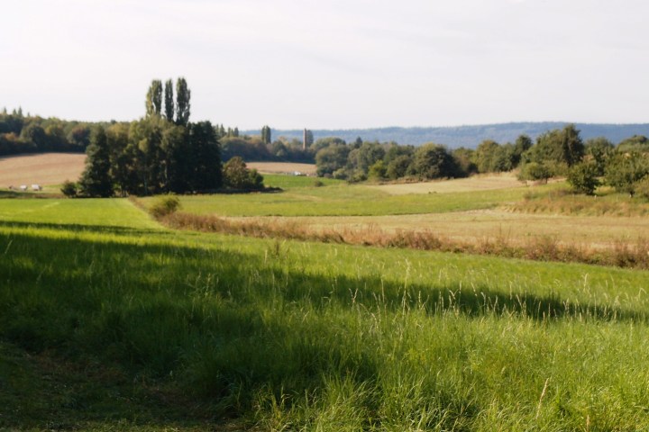 Rundtour vor die Tore der Stadt Wiesbaden, durch reizvolles Bauernland und alte Dörfer inklusive E-Bike, Anlieferung und Abholung, Einführung und Thementourenführung