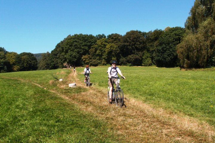 Fahrradfahrer auf einem Feldweg