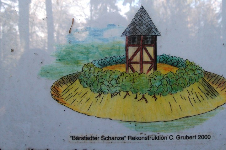 Mehrere hundert Jahre lang umschloss eine undurchlässige Grenzbefestigung den Rheingau. Eine Tour über geschichtsträchtiges Baumgestrüpp zu den letzten jahrhundertealten Gebückbäumen.