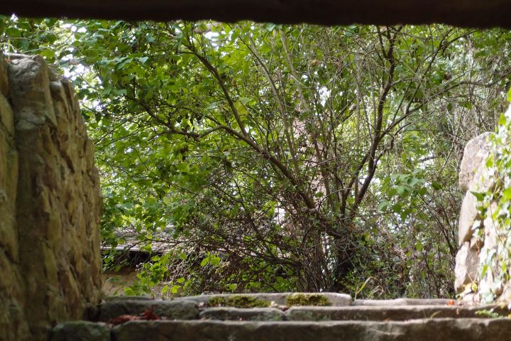 Eine heilige Klausnerin, Visionen, Klosterruine Disibodenberg – per E-Bike erfahren wir mehr über Hildegard von Bingen.