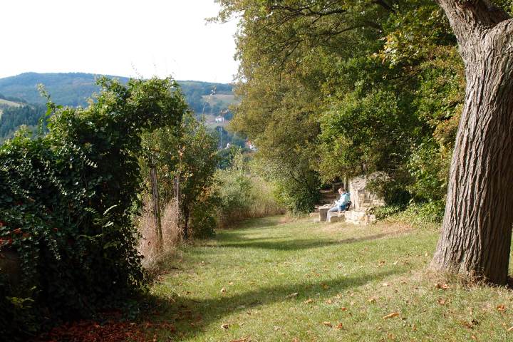 Tagestour in Rheinlandpfalz zur Heimat und den Lehrjahren von Hildegard von Bingen, die sie zum ersten theologischen Werk 