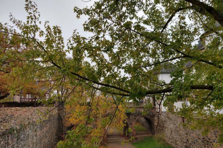 Architektur, Kunst und Grünanlagen. Auf mittelalterlichen Wallanlagen unterwegs.