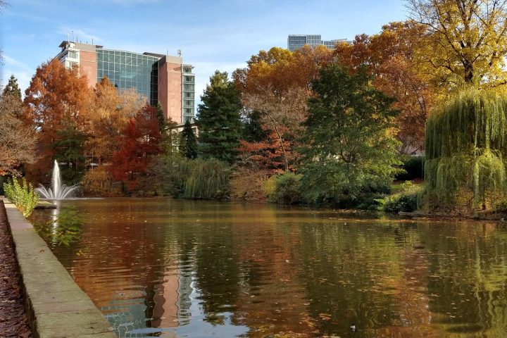 Architektur, Kunst und Grünanlagen. Auf mittelalterlichen Wallanlagen unterwegs.