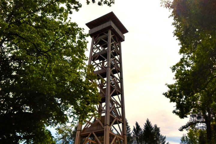 Frankfurts Süden – Uferradeln mit Ebbelwoi, Stadtwaldbiotop und einer Düne am Stadtrand