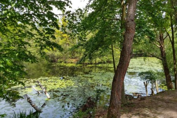 Frankfurts Süden – Uferradeln mit Ebbelwoi, Stadtwaldbiotop und einer Düne am Stadtrand