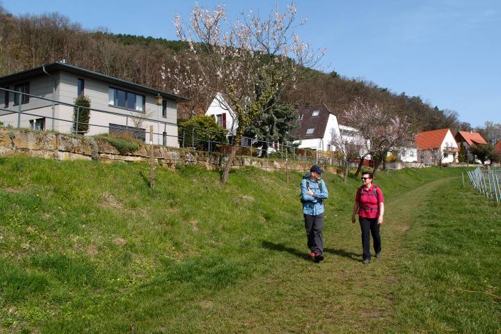 Mandel, Mandelwanderung, Kulinarik zur Mandel, Picknick,