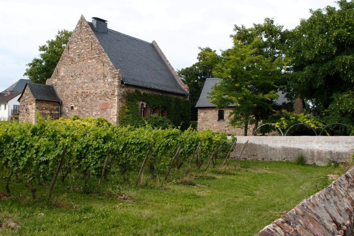 Rheingauer E-Bike Tour West, Ruinen, Nonnen und Flüsse