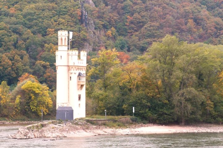 Rheingauer E-Bike Tour West, Ruinen, Nonnen und Flüsse