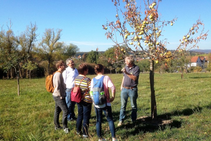 Wanderung als Rundtour durch die Streuobstwiesen Wiesbadens Dörfer zu alten und lokalen Apfelsorten. Pomologie direkt vor der Haustür – und Wissenswertes über Apfelsorten für Allergiker und welcher Apfelsaft wirklich gesund ist.