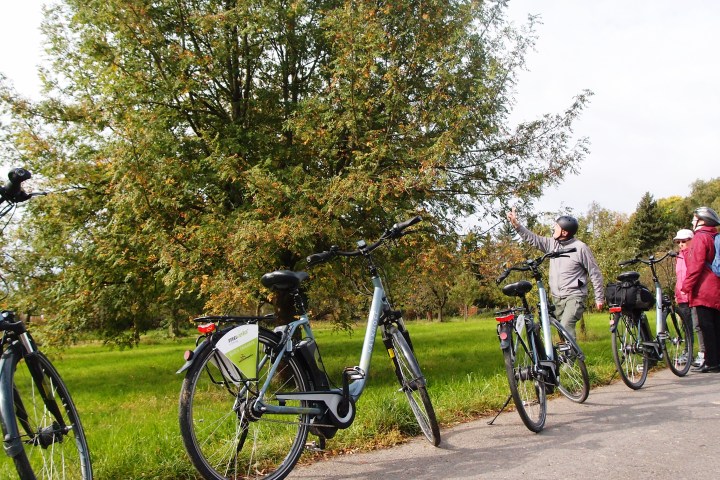 Fahrradtour mit dem e-Bike durch Streuobstwiesen Wiesbadens mit Besuch des Apfelsortengartens. Pomologie direkt vor der Haustür – und Wissenswertes über Apfelsorten für Allergiker und welcher Apfelsaft wirklich gesund ist.