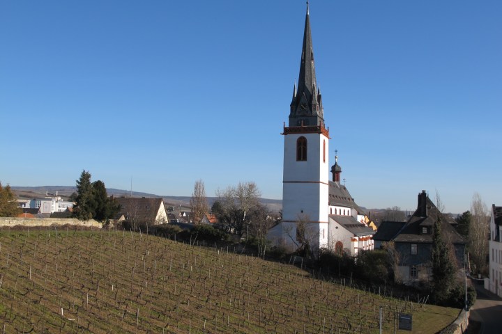Marianne von Preußen: eine starke Frau, vom Hof verbannt. Expedition – eine Wanderung kombiniert mit einer Schifffahrt - in die Vergangenheit - zu einem vergessenen Museum, einem Schloss und einer Fahrt zur Insel im Rheingau.