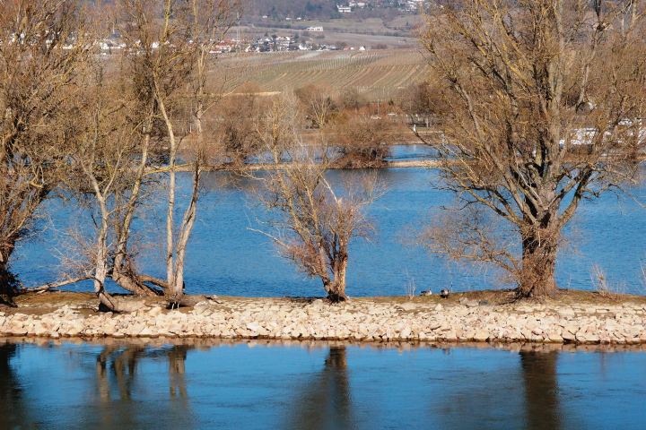 Marianne von Preußen: eine starke Frau, vom Hof verbannt. Expedition – eine Wanderung kombiniert mit einer Schifffahrt - in die Vergangenheit - zu einem vergessenen Museum, einem Schloss und einer Fahrt zur Insel im Rheingau.