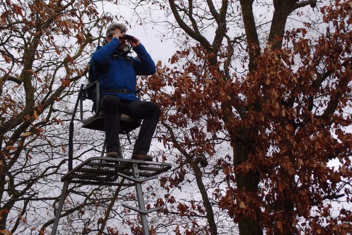 Wespenbussard, Äskulapnatter, Kleiber, Rotbuche, europäische Lärche, gemeine Fichte... eine einzigartige Vielfalt an Bäumen und Tieren lässt sich im Wiesbadener Stadtwald entdecken. Die Führung mit dem Förster nimmt sie mit in einen Stadtwald, der besonders schonend bewirtschaftet wird.