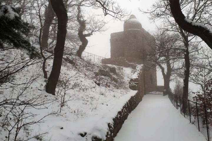 Erleben Sie eine Wanderung in die frühe Epoche der Romantik hautnah - als einzigartige Naturkulisse mit künstlich angelegten Sichtachsen, atemberaubenden Ausblicken in das Rheintal, romantischer Naturgestaltung, geschickt gebauten poetischen Aussichten und als den Ursprungsort literarischer Romantik. Die Originalführung zum Osteinschen Park!