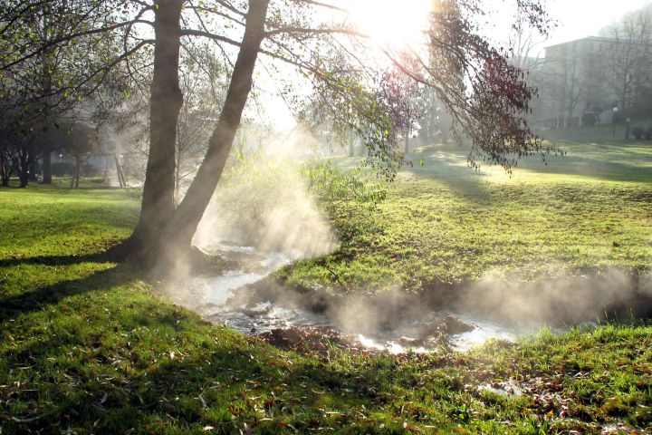 Warme Sonnenluft, sanfter Waldwind und eine Brotzeit im Wald: mit mehreren variantenreichen E-Bike Touren entdecken wir auf den Schlangenbader Waldradpfaden die luftige, waldreiche Gegend der Kurgemeinde.