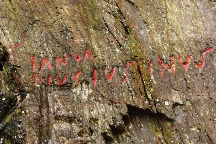 Ein Schriftzug auf einem Baum