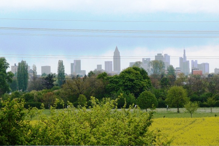 Entschleunigende Radtour entlang des Mains in der Umgebung von Frankfurt mit verschiedenen Abstechern zu besonderen touristischen Highlights und besonderen Naturschönheiten sowie Parks, Gärten und das eine und andere Denkmal. Mit Einkehr und Weinverkostung.