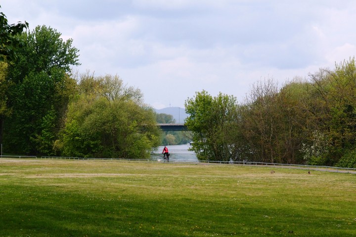 Entschleunigende Radtour entlang des Mains in der Umgebung von Frankfurt mit verschiedenen Abstechern zu besonderen touristischen Highlights und besonderen Naturschönheiten sowie Parks, Gärten und das eine und andere Denkmal. Mit Einkehr und Weinverkostung.