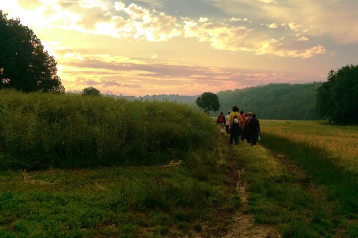 Naturerlebnis BNE cult-touren