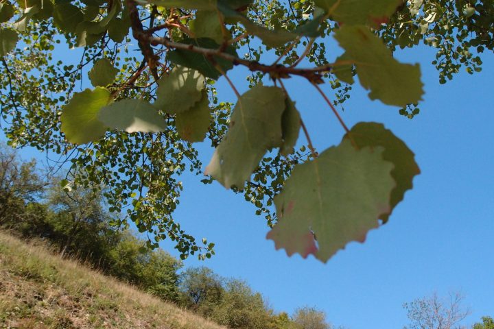 Bildung für nachhaltige Entwicklung