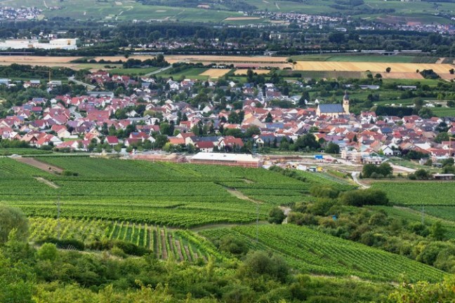 Radeln durch weites Weinland von Rheinhessen, durch beschauliche Dörfer, Bachtäler und Weinberge mit Blick zum Taunus und nach Frankfurt.