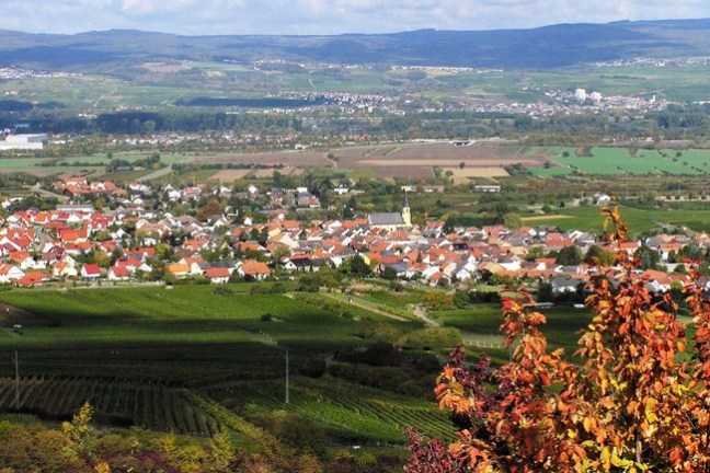 Radeln durch weites Weinland von Rheinhessen, durch beschauliche Dörfer, Bachtäler und Weinberge mit Blick zum Taunus und nach Frankfurt.
