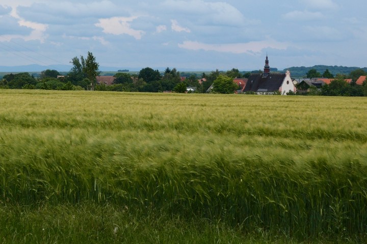 Radeln durch weites Weinland von Rheinhessen, durch beschauliche Dörfer, Bachtäler und Weinberge mit Blick zum Taunus und nach Frankfurt.