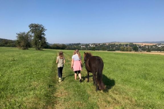 Wanderung mit Islandponys