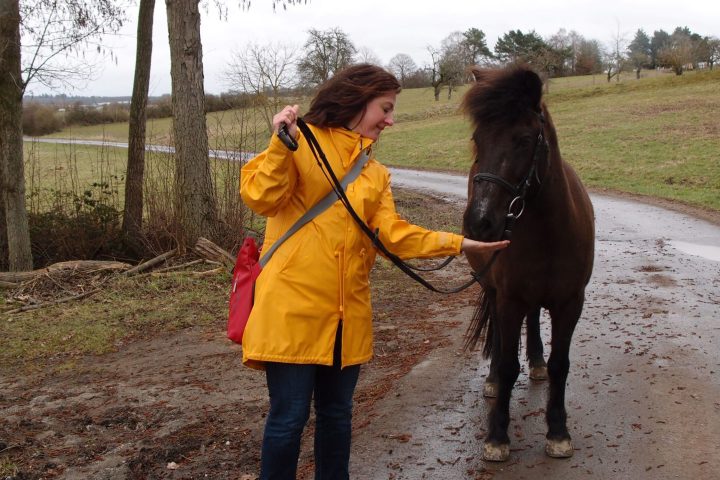 Gemeinsam mit kleinen, genügsamen und doch ausdauernden Islandpferden unterwegs
