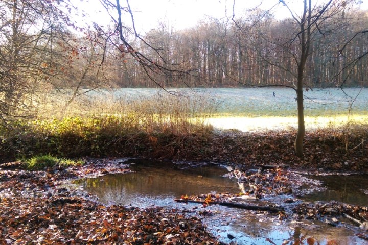Wanderung zu drei Wiesbadener Bächen durch anmutige Täler in der reizvollen Umgebung Wiesbadens. Erfahren Sie Kurzweiliges, Sagenhaftes und Wissenswertes über die Gewässer der Kurstadt und des Rheingaus.