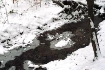 Wanderung zu drei Wiesbadener Bächen durch anmutige Täler in der reizvollen Umgebung Wiesbadens. Erfahren Sie Kurzweiliges, Sagenhaftes und Wissenswertes über die Gewässer der Kurstadt und des Rheingaus.