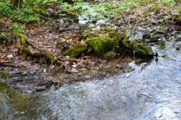 Wanderung zu drei Wiesbadener Bächen durch anmutige Täler in der reizvollen Umgebung Wiesbadens. Erfahren Sie Kurzweiliges, Sagenhaftes und Wissenswertes über die Gewässer der Kurstadt und des Rheingaus.