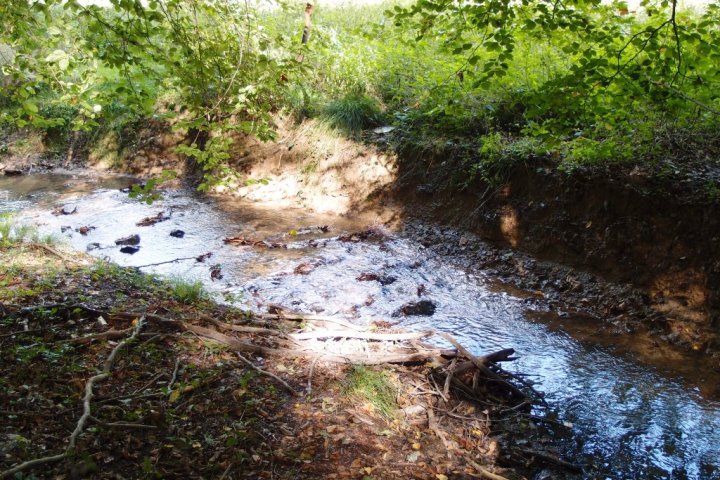 Wanderung zu drei Wiesbadener Bächen durch anmutige Täler in der reizvollen Umgebung Wiesbadens. Erfahren Sie Kurzweiliges, Sagenhaftes und Wissenswertes über die Gewässer der Kurstadt und des Rheingaus.