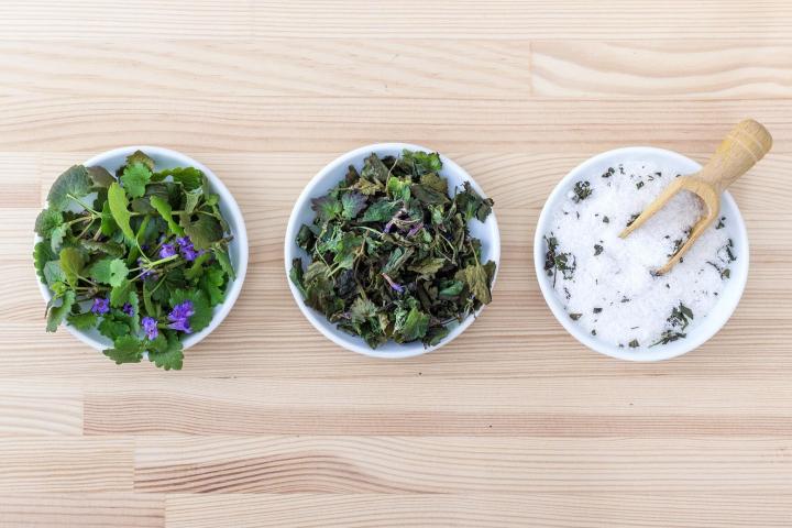 Auf einer Wanderung Wildpflanzen kennenlernen und selbst ein Kräutersalz herstellen.