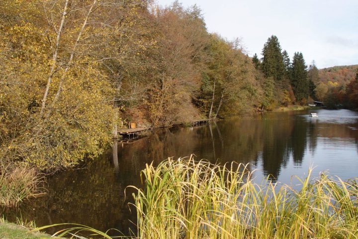 E-Bike Tour Kemeler Heide