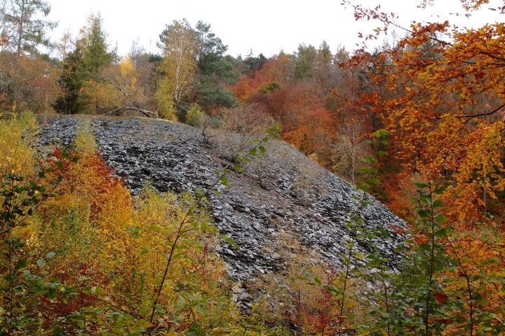 E-Bike-Tour Naturerlebnis Kemeler Heide