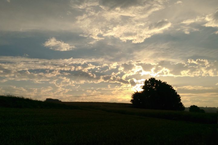 Schärfen Sie Ihre Sinne und nehmen Sie Natur und Tierwelt spannend anders wahr. Geführter Naturerlebnisspaziergang am Stadtrand in die Dämmerung und Nacht hinein.