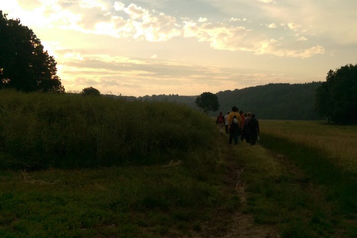 Schärfen Sie Ihre Sinne und nehmen Sie Natur und Tierwelt spannend anders wahr. Geführter Naturerlebnisspaziergang am Stadtrand in die Dämmerung und Nacht hinein.