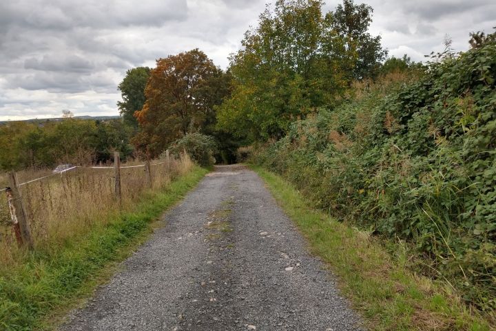 Alte Handelsrouten, Wasserstraßen, neue touristische Pfade. Über die Entwicklung Frankfurts zur Handels- und Bankenstadt.