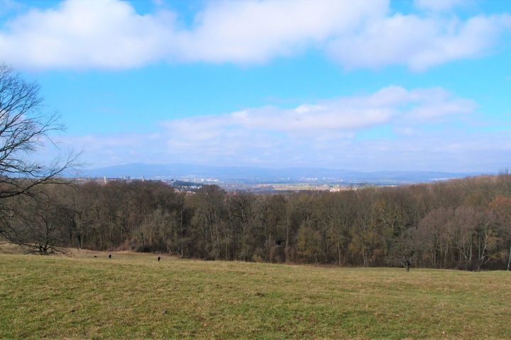 Alte Handelsrouten, Wasserstraßen, neue touristische Pfade. Über die Entwicklung Frankfurts zur Handels- und Bankenstadt.