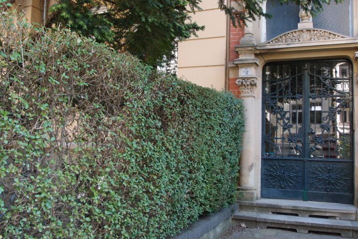 Tore, Türen und Portale – sie prägen das Bild eines Bauwerks, sind gleichsam seine Visitenkarte. Eine Erkundungstour, die der Architektur des Ankommens und Eintretens nachspürt – am Beispiel des unteren Dichterviertels von Wiesbaden.