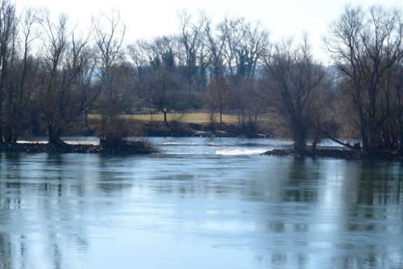 Flussauf, flussab! Die Rheingauer Riviera und ihre Geschichte